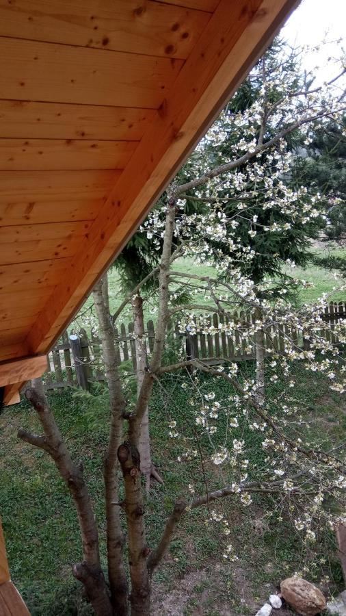 Pokoje U Adama Grajoka Szczawnica Ngoại thất bức ảnh