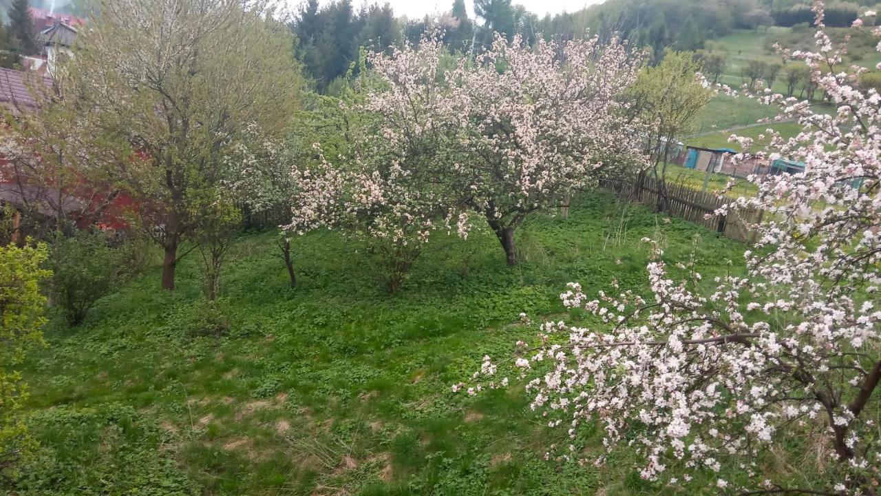 Pokoje U Adama Grajoka Szczawnica Ngoại thất bức ảnh